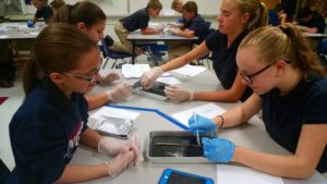 img_20161021_094404547