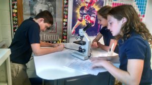 img_20161130_125154061_hdr