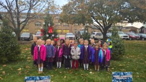 wp_20161128_07_53_55_pro